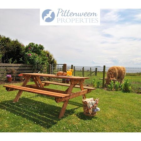 קרייל Clover Cottage Countryside Retreat With Sea Views מראה חיצוני תמונה