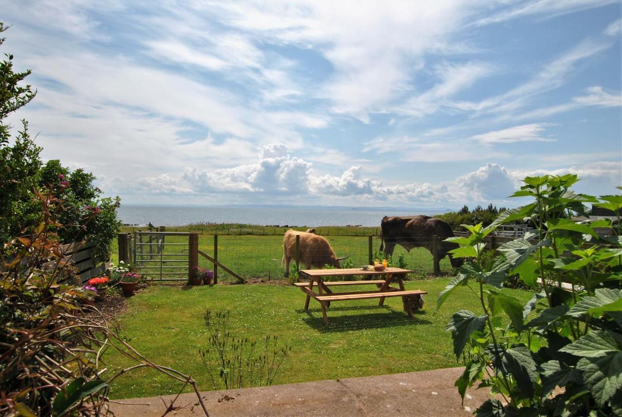 קרייל Clover Cottage Countryside Retreat With Sea Views מראה חיצוני תמונה