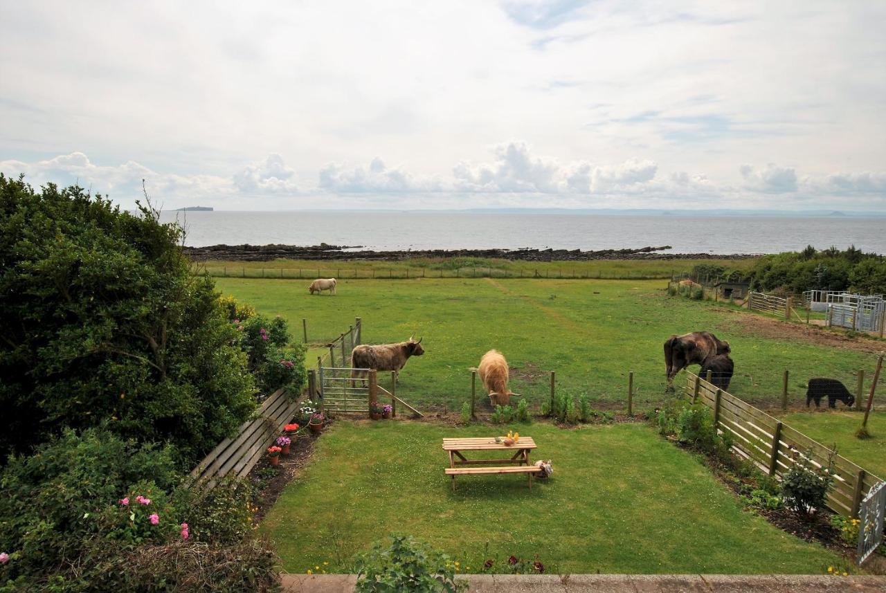 קרייל Clover Cottage Countryside Retreat With Sea Views מראה חיצוני תמונה